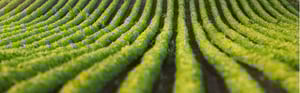Agrifac sales enablement solution